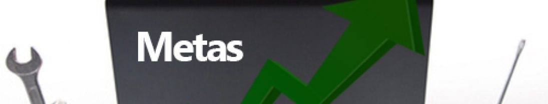 Metas e Desafios, estão claros para você? Metas e Desafios, estão claros para você?