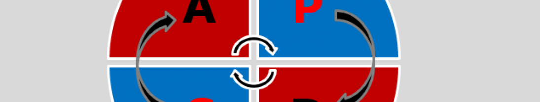 Ciclo PDCA Ciclo PDCA